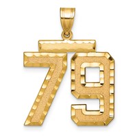 14K Yellow Gold Large Brushed Diamond-cut Number 79 Charm view 1