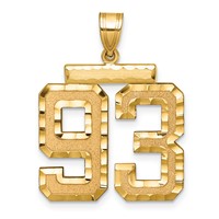 14K Yellow Gold Large Brushed Diamond-cut Number 93 Charm view 1