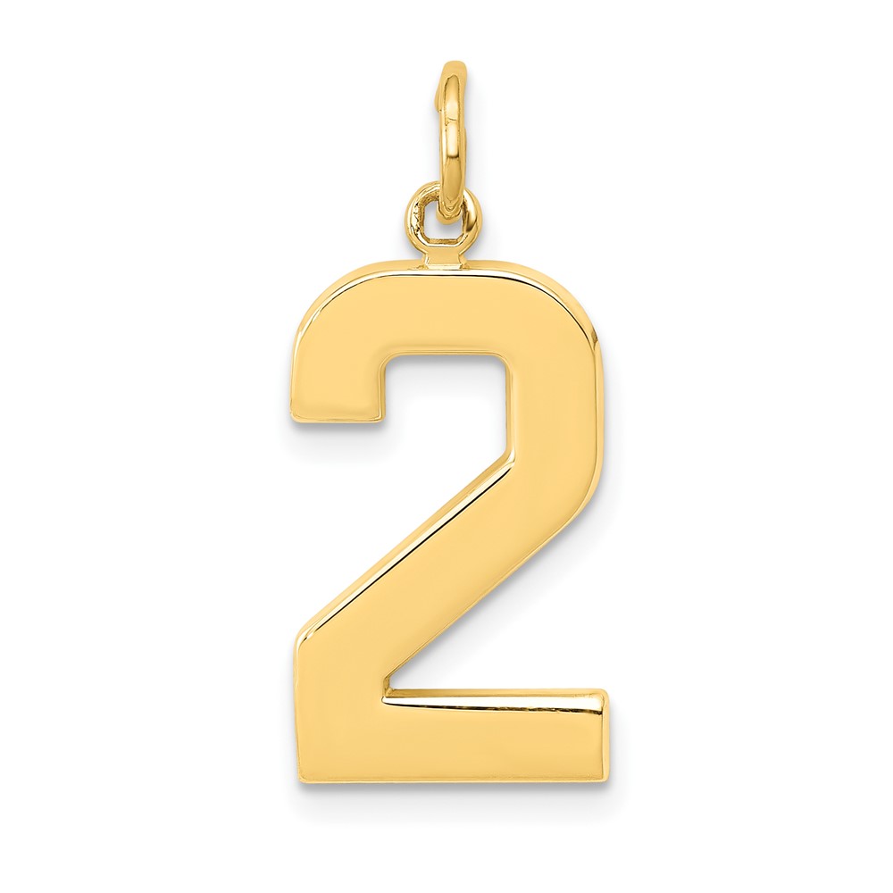 14k  Large Polished Number 2 Charm (LP02)