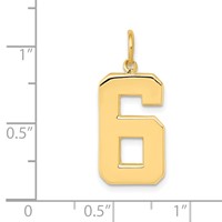 14K Large Polished Number 6 Charm view 3