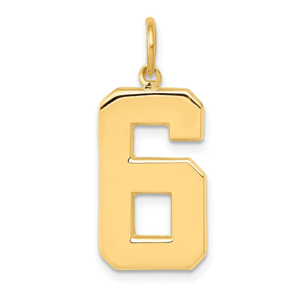 14K Large Polished Number 6 Charm