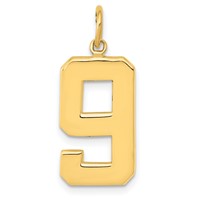 14K Large Polished Number 9 Charm view 1