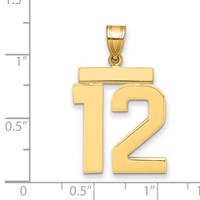 14K Yellow Gold Large Polished Number 12 Charm view 2