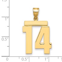 14K Yellow Gold Large Polished Number 14 Charm view 2
