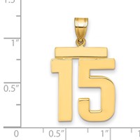 14K Large Polished Number 15 Charm view 2