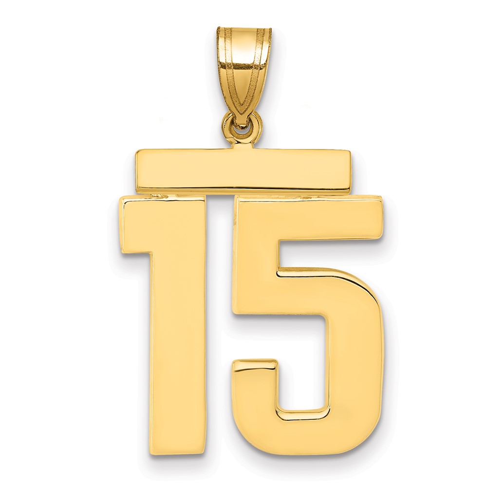14K Large Polished Number 15 Charm