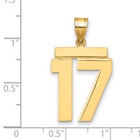 14K Yellow Gold Large Polished Number 17 Charm view 2