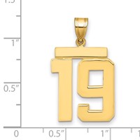 14K Yellow Gold Large Polished Number 19 Charm view 2
