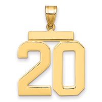 14K Yellow Gold Large Polished Number 20 Charm view 1
