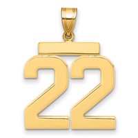 14K Yellow Gold Large Polished Number 22 Charm view 1