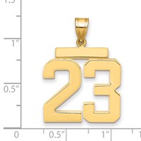 14K Large Polished Number 23 Charm view 2