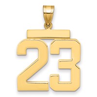 14K Large Polished Number 23 Charm view 1