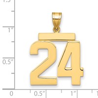 14K Yellow Gold Large Polished Number 24 Charm view 2