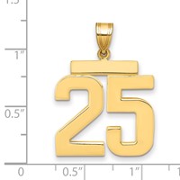 14K Yellow Gold Large Polished Number 25 Charm view 2
