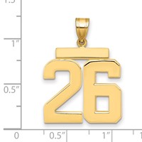 14K Yellow Gold Large Polished Number 26 Charm view 2