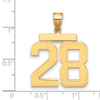14K Yellow Gold Large Polished Number 28 Charm view 2