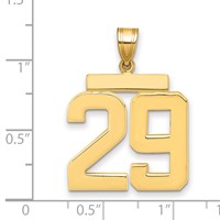 14K Yellow Gold Large Polished Number 29 Charm view 2