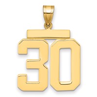 14K Yellow Gold Large Polished Number 30 Charm view 1