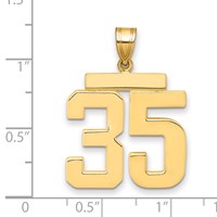14K Yellow Gold Large Polished Number 35 Charm view 2