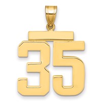 14K Yellow Gold Large Polished Number 35 Charm view 1