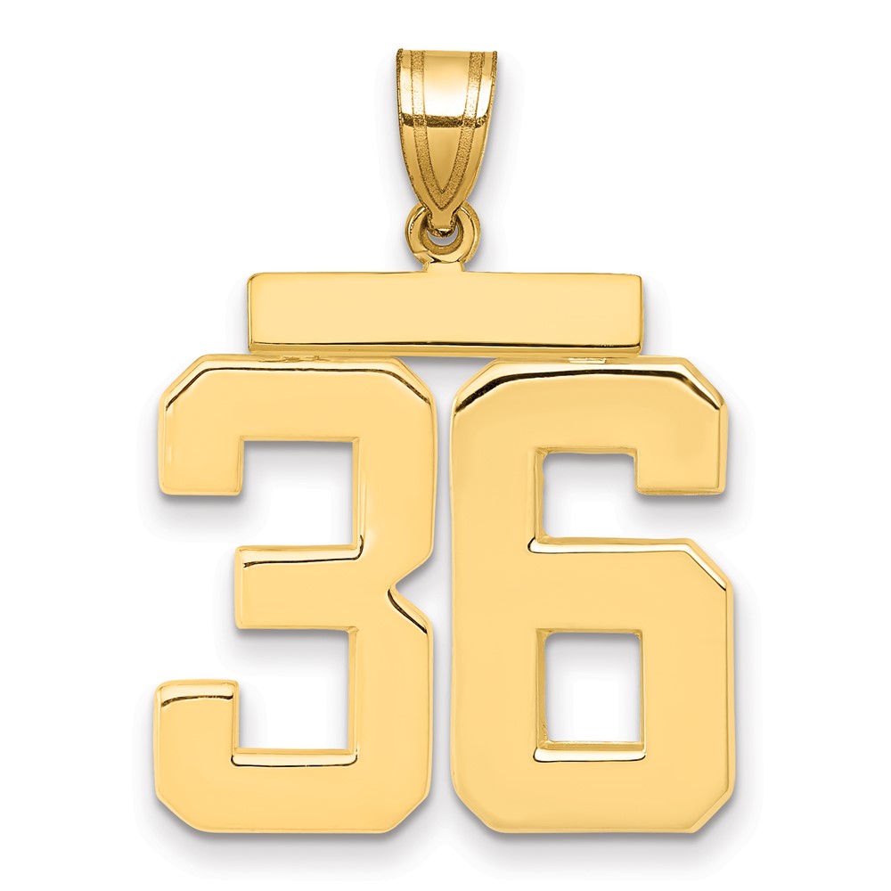 14K Yellow Gold Large Polished Number 36 Charm