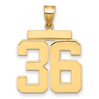 14K Yellow Gold Large Polished Number 36 Charm view 1