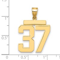 14K Yellow Gold Large Polished Number 37 Charm view 2