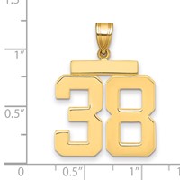 14K Large Polished Number 38 Charm view 2