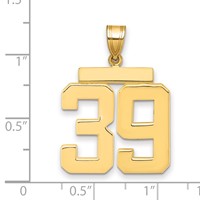 14K Yellow Gold Large Polished Number 39 Charm view 2