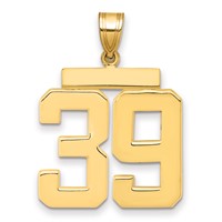 14K Yellow Gold Large Polished Number 39 Charm view 1
