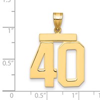 14K Yellow Gold Large Polished Number 40 Charm view 2