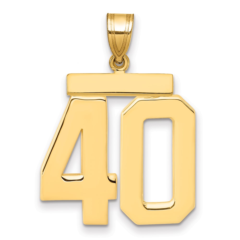 14K Yellow Gold Large Polished Number 40 Charm