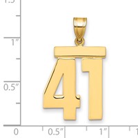 14K Yellow Gold Large Polished Number 41 Charm view 2
