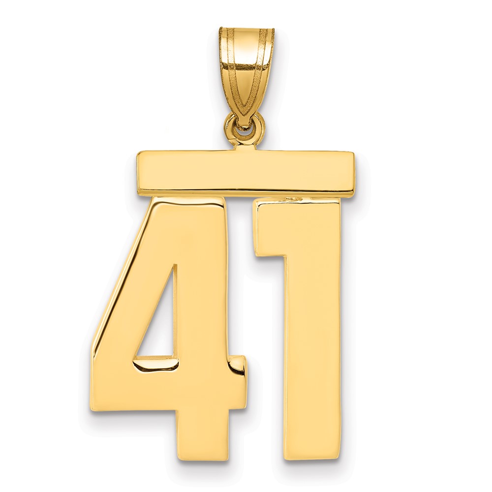 14K Yellow Gold Large Polished Number 41 Charm