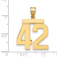 14K Yellow Gold Large Polished Number 42 Charm view 2