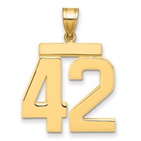 14K Yellow Gold Large Polished Number 42 Charm view 1