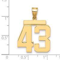 14K Yellow Gold Large Polished Number 43 Charm view 2