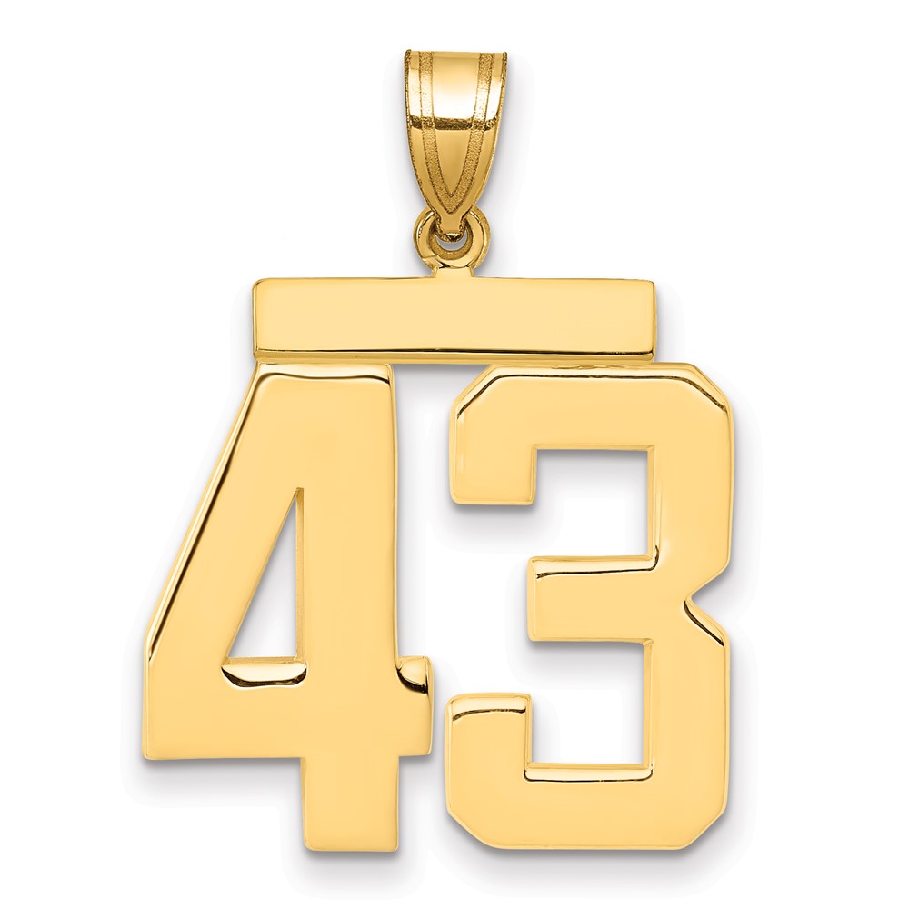 14K Yellow Gold Large Polished Number 43 Charm