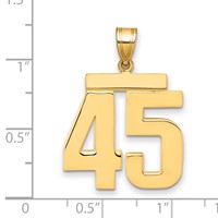 14K Yellow Gold Large Polished Number 45 Charm view 2