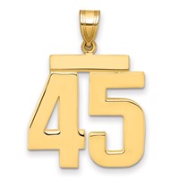 14K Yellow Gold Large Polished Number 45 Charm view 1