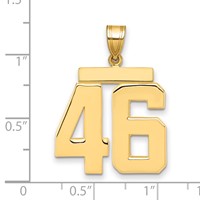 14K Yellow Gold Large Polished Number 46 Charm view 2
