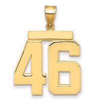 14K Yellow Gold Large Polished Number 46 Charm view 1