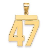 14K Yellow Gold Large Polished Number 47 Charm view 1