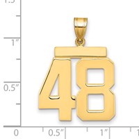 14K Yellow Gold Large Polished Number 48 Charm view 2