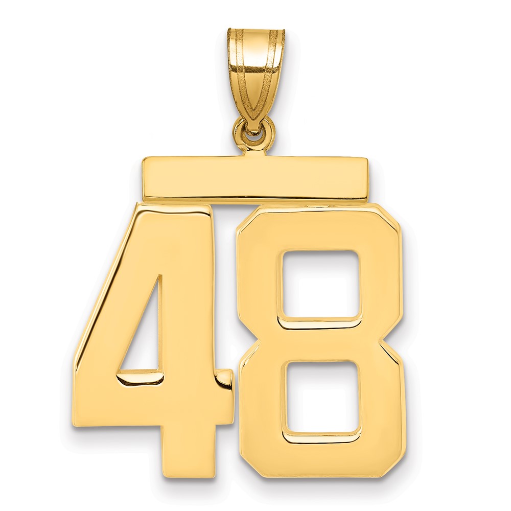 14K Yellow Gold Large Polished Number 48 Charm