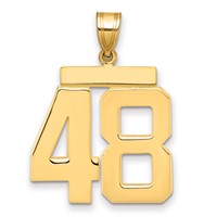 14K Yellow Gold Large Polished Number 48 Charm view 1