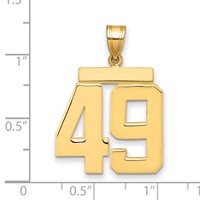 14K Large Polished Number 49 Charm view 2