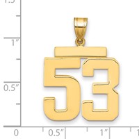 14K Yellow Gold Large Polished Number 53 Charm view 2