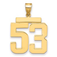 14K Yellow Gold Large Polished Number 53 Charm view 1