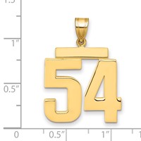 14K Yellow Gold Large Polished Number 54 Charm view 2